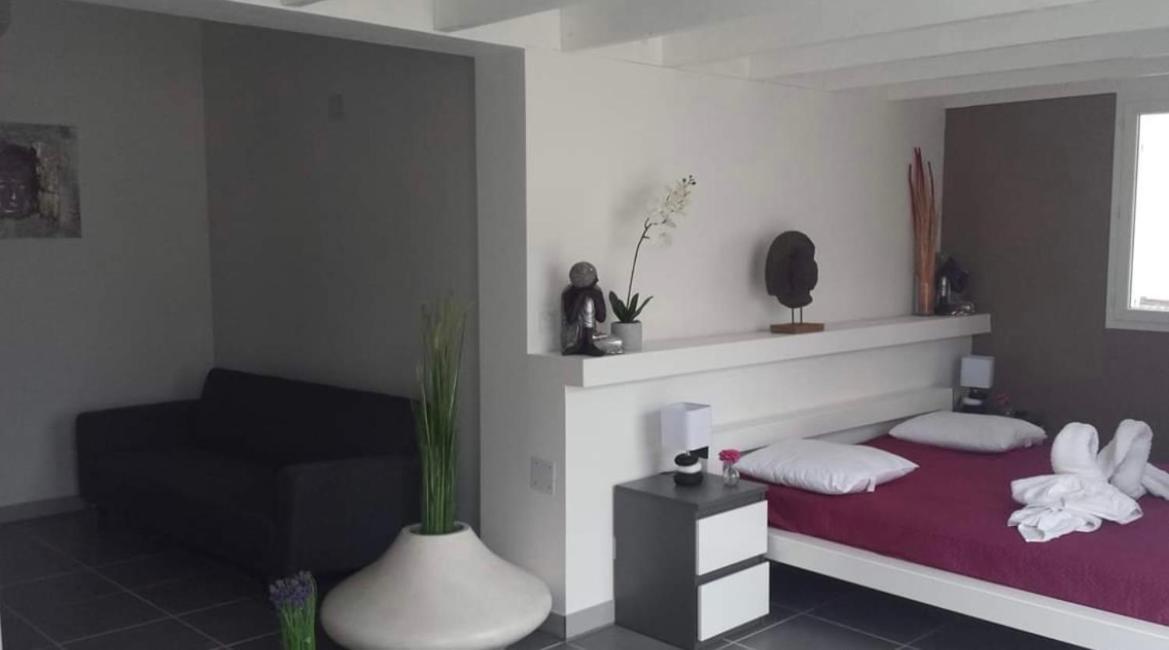 Mas La Farelle Gite, Fitness & Salle De Jeux Gratuite & Spa En Supplement 尼姆 外观 照片
